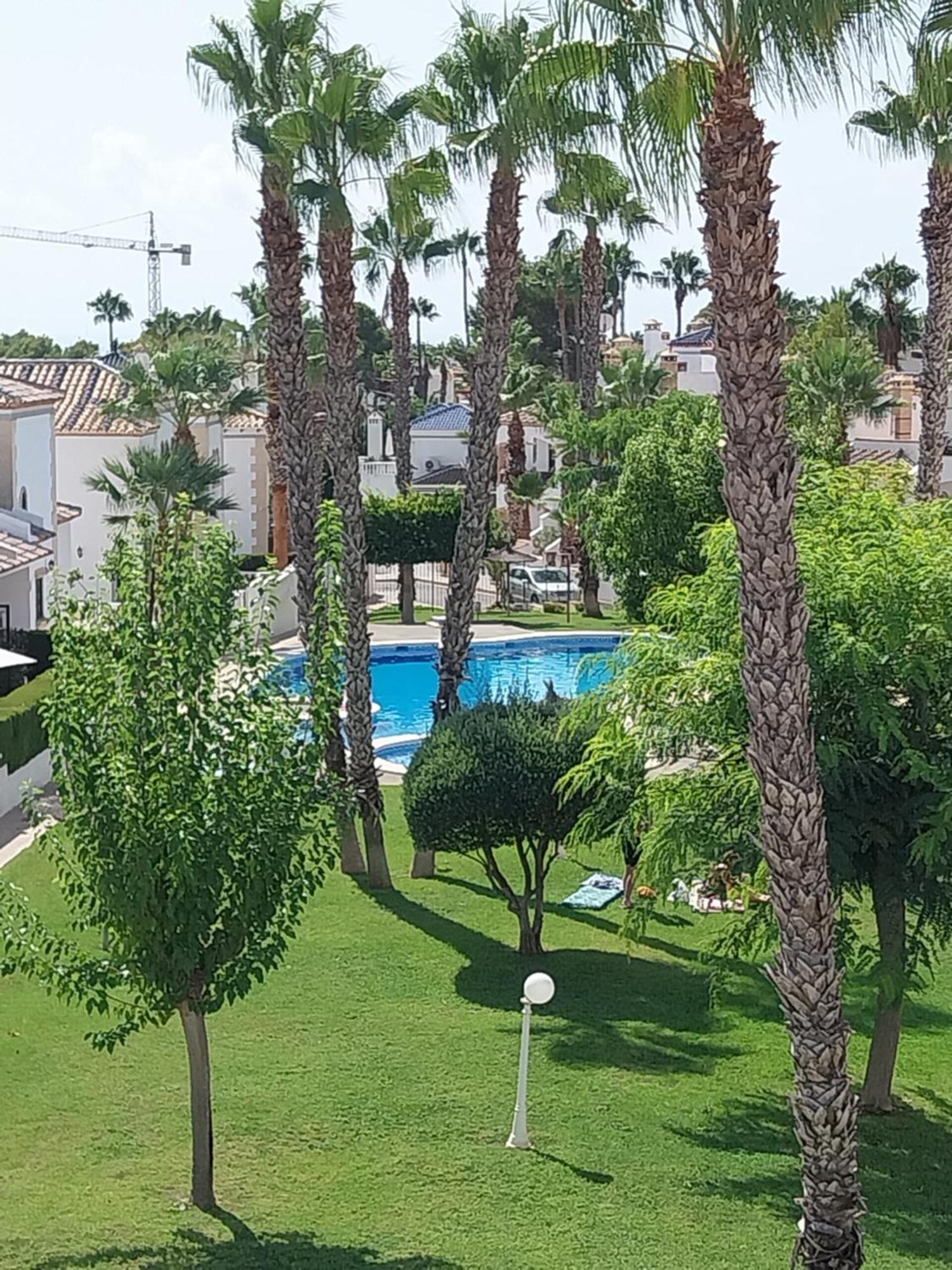 Charming Apartment In Front Of Villamartin Golf And Plaza Exteriör bild