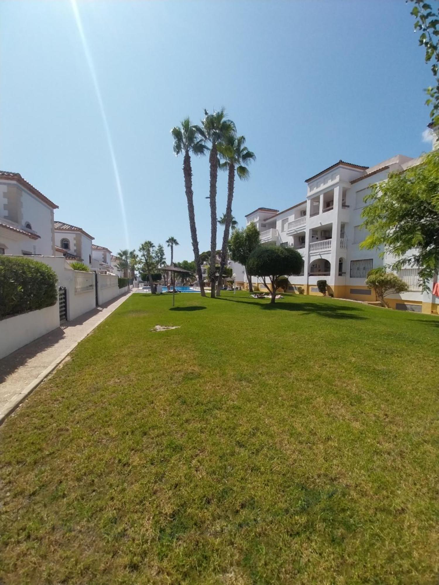 Charming Apartment In Front Of Villamartin Golf And Plaza Exteriör bild