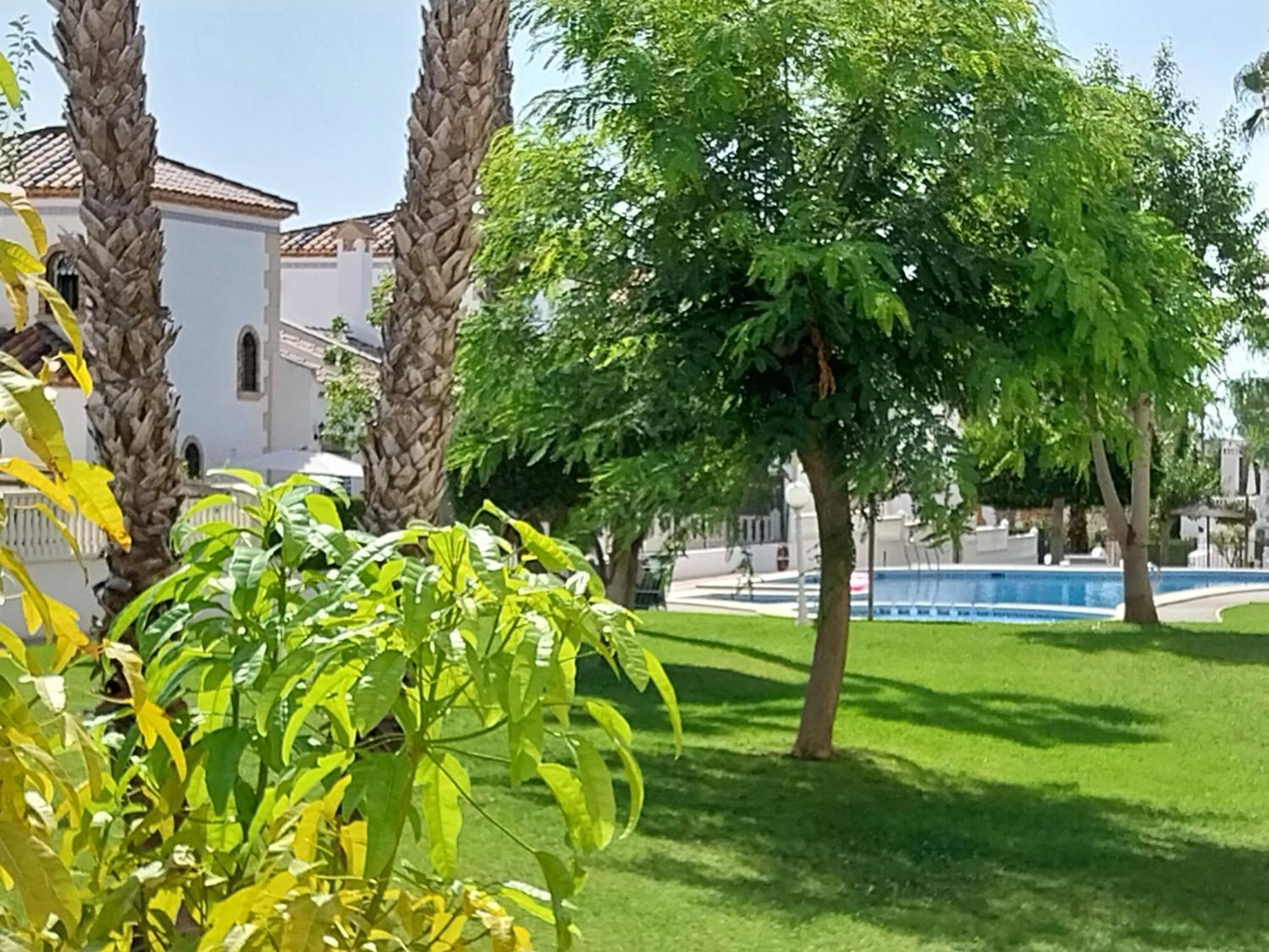 Charming Apartment In Front Of Villamartin Golf And Plaza Exteriör bild