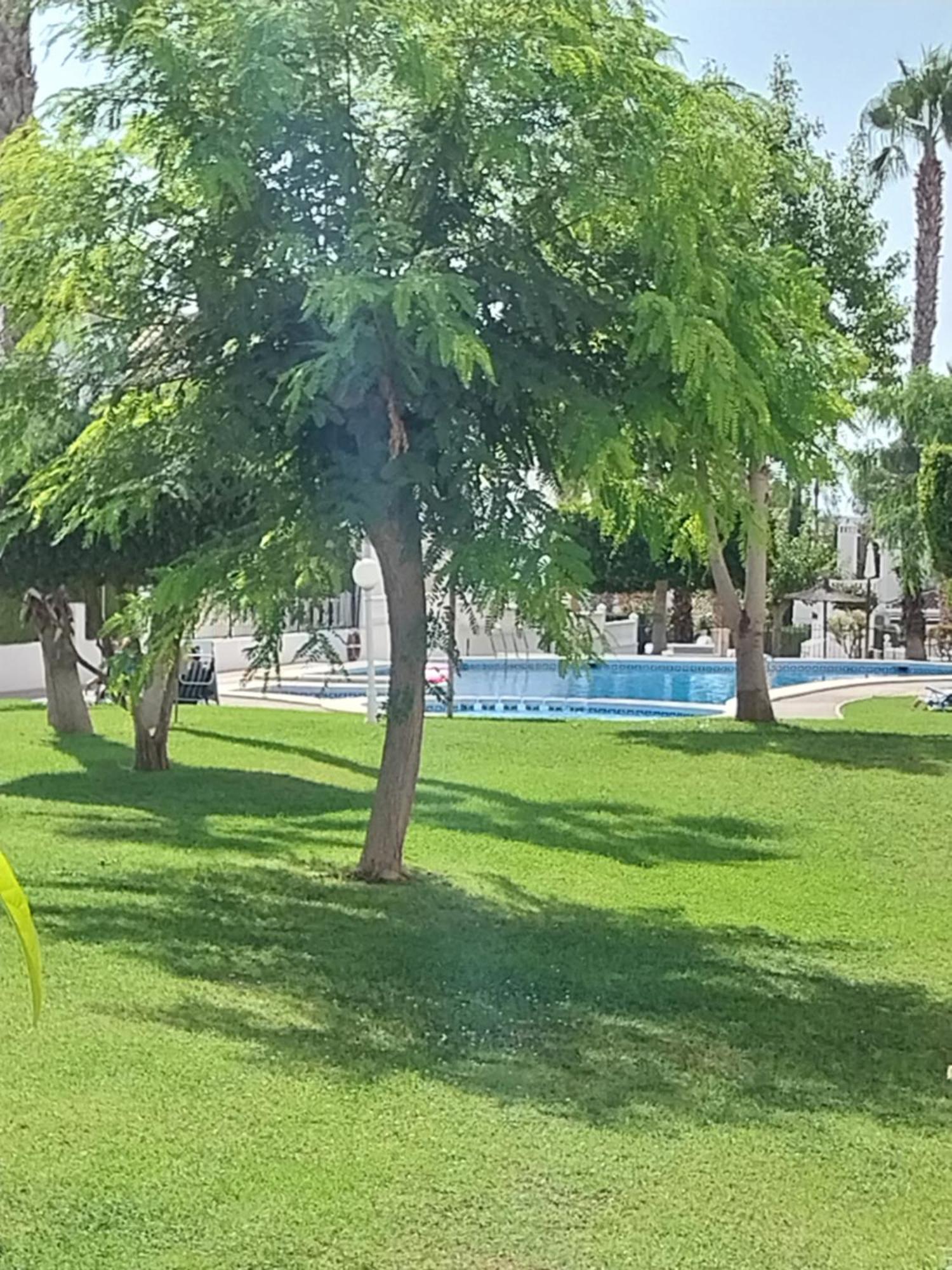Charming Apartment In Front Of Villamartin Golf And Plaza Exteriör bild